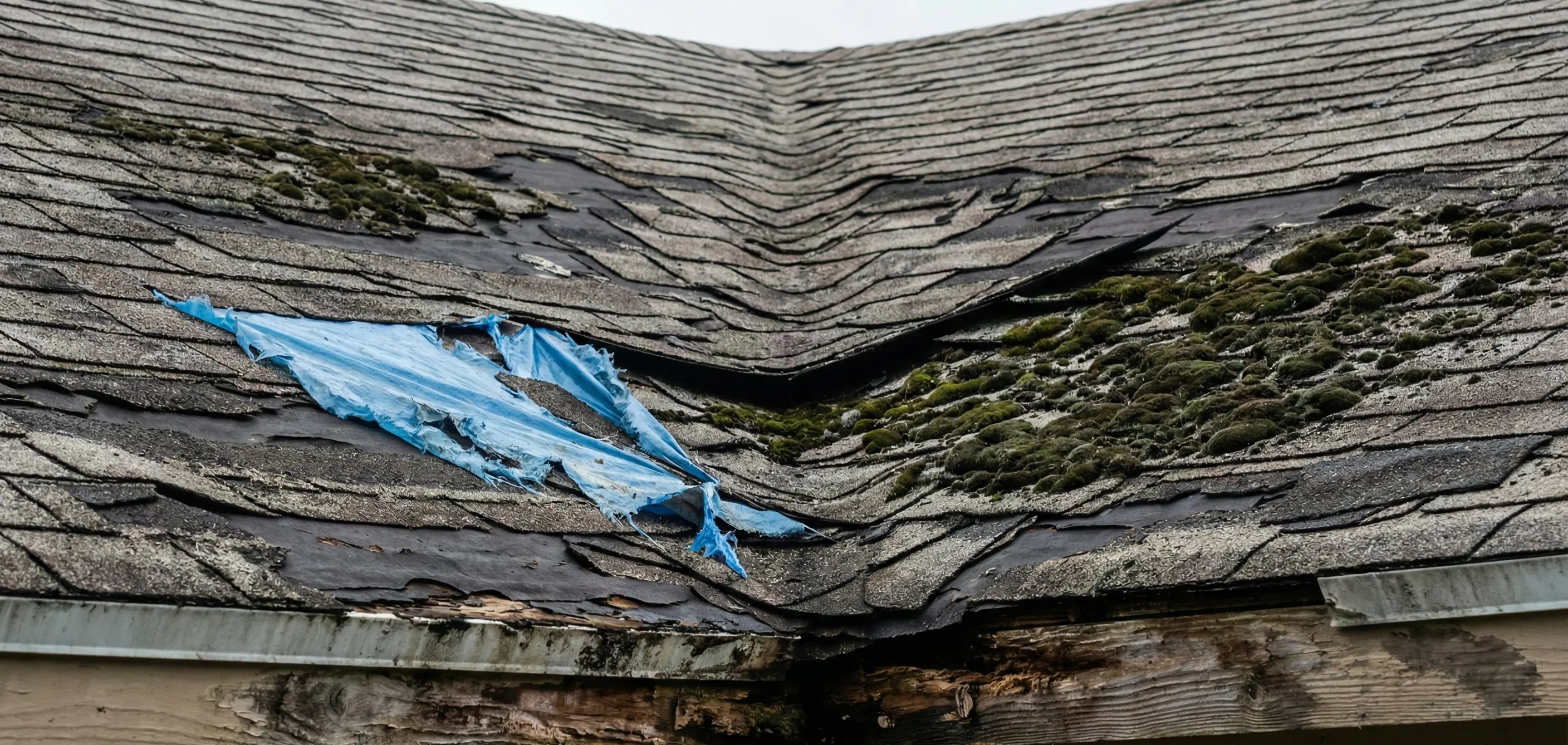 Distressed West Palm Beach Property